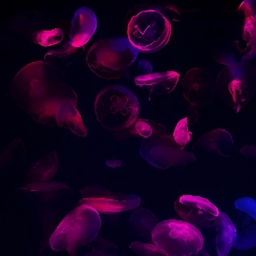 Avatar of user contextobject