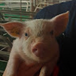 Avatar of user Beemmakesfiremusic