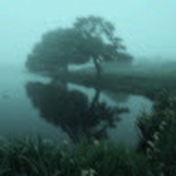 Avatar of user DeVia_Dolls