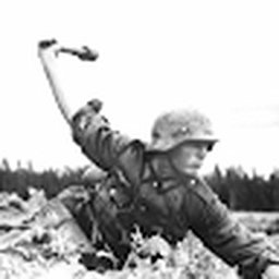 Avatar of user infantry