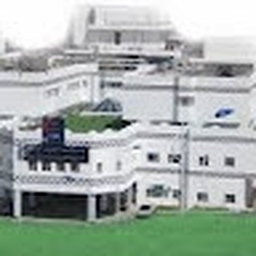 Avatar of user roy1996