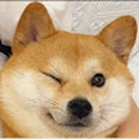 Avatar of user Wariacik00793