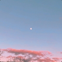 Avatar of user Izaro G