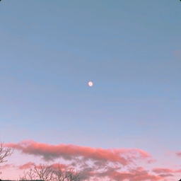 Avatar of user Izaro G