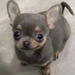 Avatar of user JSpeerlikesBeer