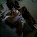 Avatar of user Cabin Full Of Cubs