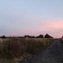 Avatar of user PolaGlass