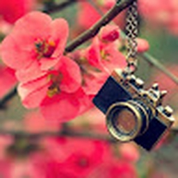 Avatar of user ukirubs