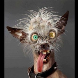 Avatar of user user64746532645