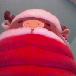 Avatar of user bellaisthecoolest123