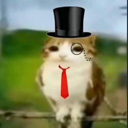 Avatar of user wezfweukz