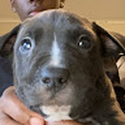 Avatar of user Chrissypooh