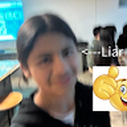 Avatar of user getajoplilbro