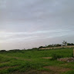 Avatar of user LadiesManMO