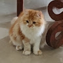 Avatar of user LuvLunaa