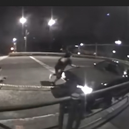 Avatar of user prodgor