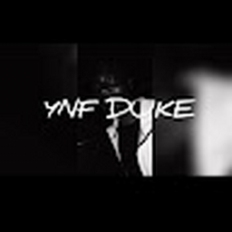 Avatar of user YnFDuke