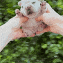 Avatar of user s8531113