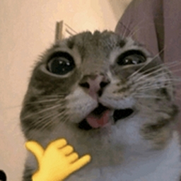 Avatar of user Emo_Bih