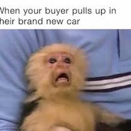 Avatar of user Hockey44