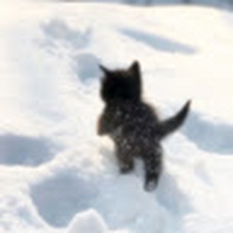 Avatar of user 1173926391