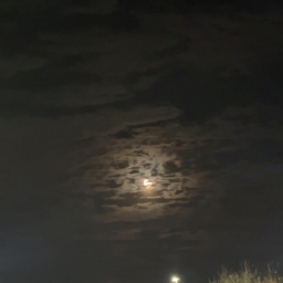 Avatar of user AshxMayam144