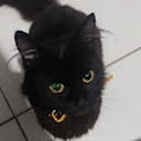 Avatar of user Ashiiie