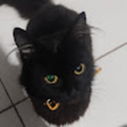 Avatar of user Ashiiie