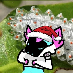 Avatar of user Jolly filled WAV30