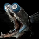 Avatar of user dojur-doryl