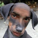 Cover of album never 4get da streets by niklasrs