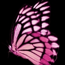 Avatar of user abishaaa23