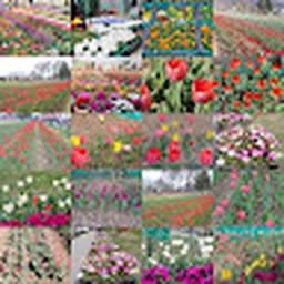 Avatar of user flipperachi