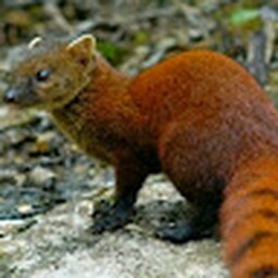 Avatar of user fgfdgsfg