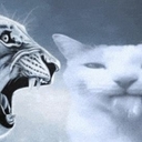 Avatar of user surreal3