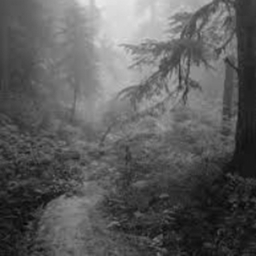 Avatar of user Guysmyaccountisfried