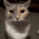 Avatar of user luhbrian