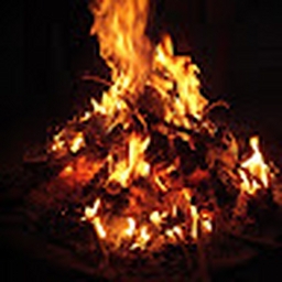 Avatar of user Wraithmusic