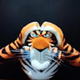 Avatar of user kittyfantom