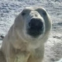 Avatar of user Masteroftarget