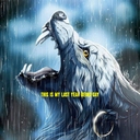 Avatar of user yuki ☮