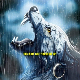 Avatar of user yuki ☮