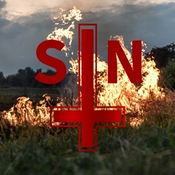 Avatar of user sin ⛧