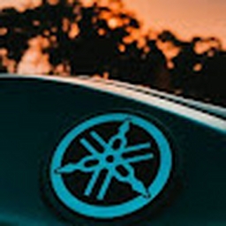 Avatar of user flnngy