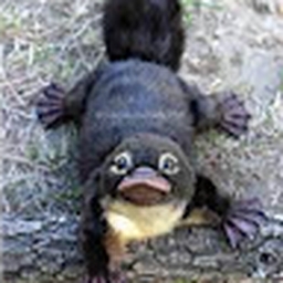 Avatar of user ba5443597