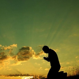 Avatar of user Laux088