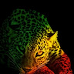 Avatar of user FRORMATEUR77