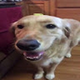 Avatar of user tokanana12