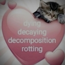 Avatar of user archyives ☮