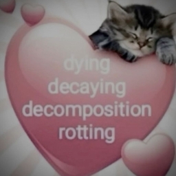 Avatar of user archyives ☮